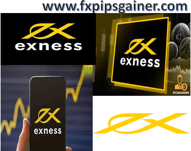 Exploring the Exness Forex Broker A Comprehensive Guide Exploring the Exness Forex Broker A Comprehensive Guide
